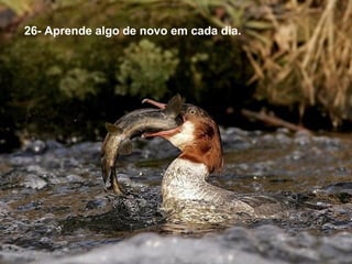 26- Aprende algo de novo em cada dia.
 