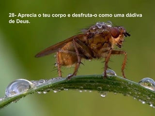 28- Aprecia o teu corpo e desfruta-o como uma dádiva
de Deus.
 