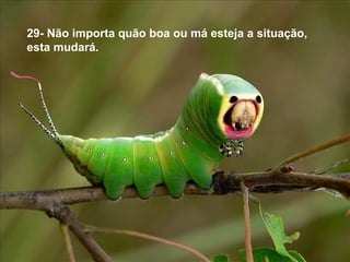 29- Não importa quão boa ou má esteja a situação,
esta mudará.
 