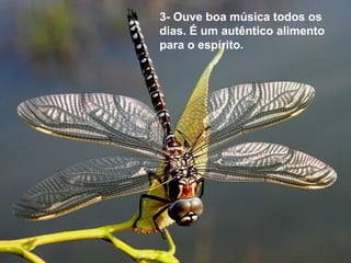 3- Ouve boa música todos os 
dias. É um autêntico alimento 
para o espírito. 
 