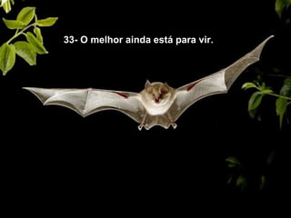 33- O melhor ainda está para vir.
 