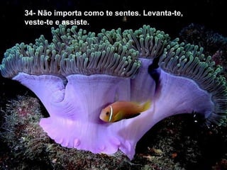 34- Não importa como te sentes. Levanta-te,
veste-te e assiste.
 