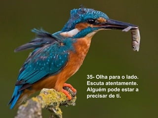 35- Olha para o lado.
Escuta atentamente.
Alguém pode estar a
precisar de ti.
 