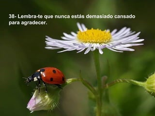 38- Lembra-te que nunca estás demasiado cansado
para agradecer.
 