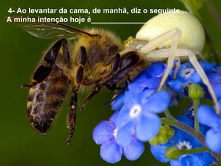  4- Ao levantar da cama, de manhã, diz o seguinte…
A minha intenção hoje é______________.
 