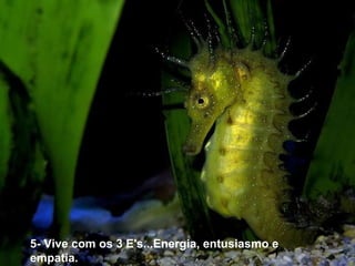 5- Vive com os 3 E's...Energia, entusiasmo e  
empatia.
 