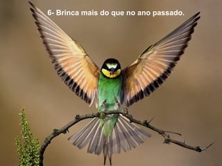   6- Brinca mais do que no ano passado. 
 