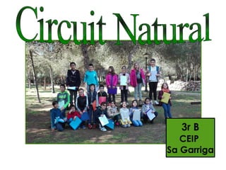 3r B
CEIP
Sa Garriga
 