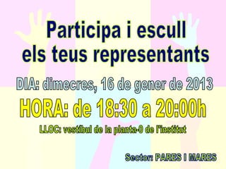 Consell escolar 1213 w