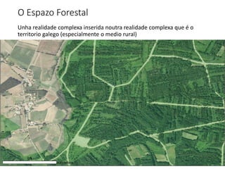 O Espazo Forestal
Unha realidade complexa inserida noutra realidade complexa que é o
territorio galego (especialmente o medio rural)
 