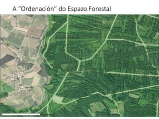 A “Ordenación” do Espazo Forestal
 