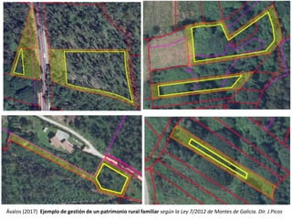Ávalos (2017) Ejemplo de gestión de un patrimonio rural familiar según la Ley 7/2012 de Montes de Galicia. Dir. J.Picos
 