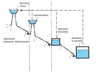 Silvicultor
Activo
semiabandono
Abandono
Reversible
Abandono
irreversible
Absentismo
Abandono Administrativo
 