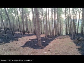 Salceda de Caselas – Foto: Juan Picos
 