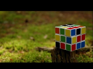 Orde e Desorde Forestal 