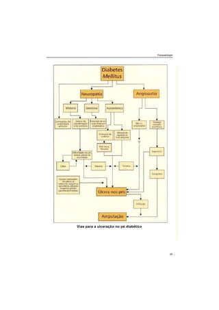 Fisiopatologia
29
Vias para a ulceração no pé diabético
 