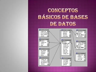 Conceptos básicos de bases de datos 
