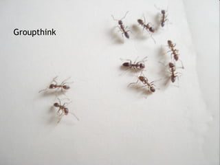Groupthink 