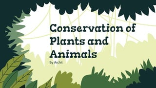 Conservation of
Plants and
Animals
By Archit
 