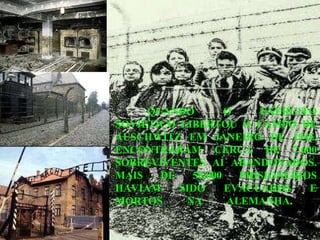 QUANDO O EXÉRCITO SOVIÉTICO LIBERTOU O CAMPO DE AUSCHWITZ EM JANEIRO DE 1945, ENCONTRARAM CERCA DE 7.600 SOBREVIVENTES AÍ ABANDONADOS. MAIS DE 58.000 PRISIONEIROS HAVIAM SIDO EVACUADOS E MORTOS NA ALEMANHA .  