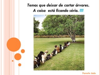 Pamela Jade Temos que deixar de cortar árvores. A coisa  está ficando séria.  !!!! 