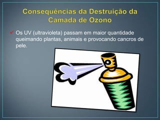  Os UV (ultravioleta) passam em maior quantidade
  queimando plantas, animais e provocando cancros de
  pele.
 