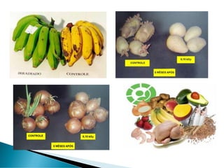 conservacao_alimentos_metodosnaoconverncionais.pdf