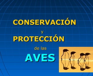 CONSERVACIÓN
       y

PROTECCIÓN
    de las

  AVES
 