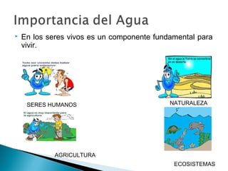  En los seres vivos es un componente fundamental para
vivir.
ECOSISTEMAS
NATURALEZASERES HUMANOS
AGRICULTURA
 