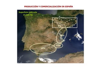 PRODUCCIÓN Y COMERCIALIZACIÓN EN ESPAÑA

Superficie cultivada
    15.000 Ha




                               8%




                                 20%




                              62%
                       10%
 