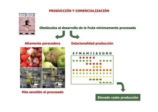 PRODUCCIÓN Y COMERCIALIZACIÓN




          Obstáculos al desarrollo de la fruta mínimamente procesada



 Altamente perecedera        Estacionalidad producción


                              E F M A M J J A S O N D




Más sensible al procesado
                                            Elevado coste producción
 