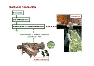 PROCESO DE ELABORACIÓN

   Recepción

                                                  Clasificación
   Pre-enfriamiento


   Clasificación - Acondicionamiento



          Eliminación de la parte no comestible
                    pérdida 20 - 70%




                           Acondicionamiento
 
