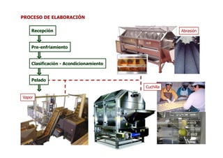 PROCESO DE ELABORACIÓN

    Recepción                                      Abrasión



    Pre-enfriamiento


    Clasificación - Acondicionamiento


    Pelado
                                        Cuchilla

Vapor
 