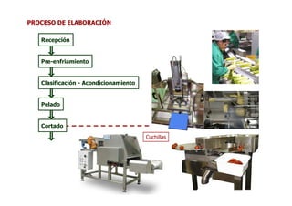 PROCESO DE ELABORACIÓN

   Recepción


   Pre-enfriamiento


   Clasificación - Acondicionamiento


   Pelado


   Cortado
                                       Cuchillas
 