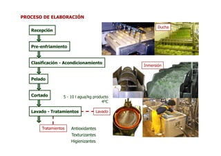 PROCESO DE ELABORACIÓN

                                                       Ducha
   Recepción


   Pre-enfriamiento


   Clasificación - Acondicionamiento
                                                Inmersión


   Pelado


   Cortado         5 - 10 l agua/kg producto
                                        4ºC

   Lavado - Tratamientos               Lavado



        Tratamientos   Antioxidantes
                       Texturizantes
                       Higienizantes
 