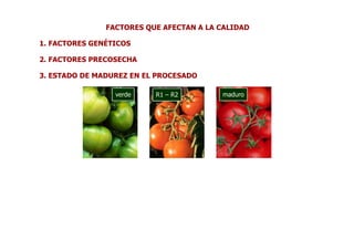 FACTORES QUE AFECTAN A LA CALIDAD

1. FACTORES GENÉTICOS

2. FACTORES PRECOSECHA

3. ESTADO DE MADUREZ EN EL PROCESADO

                 verde    R1 – R2        maduro
 