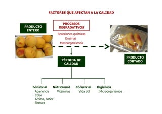 FACTORES QUE AFECTAN A LA CALIDAD


                     PROCESOS
PRODUCTO           DEGRADATIVOS
 ENTERO
                  Reacciones químicas
                       Enzimas
                    Microorganismos



                                                               PRODUCTO
                     PÉRDIDA DE                                 CORTADO
                      CALIDAD




   Sensorial    Nutricional   Comercial     Higiénica
    Apariencia    Vitaminas     Vida útil    Microorganismos
    Color
    Aroma, sabor
    Textura
 