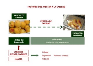 FACTORES QUE AFECTAN A LA CALIDAD



   PRODUCTO
    ENTERO

                            PÉRDIDA DE
                             CALIDAD




                                                             PRODUCTO
                                                              CORTADO

   Antes del                             Procesado
   Procesado                     Productos más perecederos




   VARIEDAD                  Calidad
ESTADO MADUREZ
                             Seguridad    Producto cortado
   MANEJO                    Vida útil
 