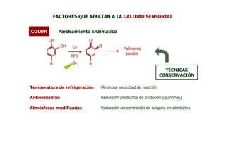 FACTORES QUE AFECTAN A LA CALIDAD SENSORIAL


COLOR        Pardeamiento Enzimático
        OH                 O
                OH   Cu        O
                                           Polímeros
                                            pardos
                     PPO
        R            O2    R
                                                                   TÉCNICAS
                                                                 CONSERVACIÓN

Temperatura de refrigeración   Minimizar velocidad de reacción

Antioxidantes                  Reducción productos de oxidación (quinonas)

Atmósferas modificadas         Reducción concentración de oxígeno en atmósfera
 