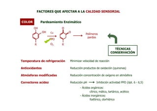FACTORES QUE AFECTAN A LA CALIDAD SENSORIAL


COLOR         Pardeamiento Enzimático
        OH                 O
                OH   Cu        O
                                           Polímeros
                                            pardos
                     PPO
         R           O2    R
                                                                   TÉCNICAS
                                                                 CONSERVACIÓN

Temperatura de refrigeración   Minimizar velocidad de reacción

Antioxidantes                  Reducción productos de oxidación (quinonas)

Atmósferas modificadas         Reducción concentración de oxígeno en atmósfera

Correctores acidez             Reducción pH         Inhibición actividad PPO (ópt. 6 - 6,5)
                                      - Ácidos orgánicos:
                                              cítrico, málico, tartárico, acético
                                      - Ácidos inorgánicos:
                                              fosfórico, clorhídrico
 