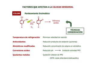 FACTORES QUE AFECTAN A LA CALIDAD SENSORIAL


COLOR         Pardeamiento Enzimático
        OH                 O
                OH   Cu        O
                                           Polímeros
                                            pardos
                     PPO
         R           O2    R
                                                                   TÉCNICAS
                                                                 CONSERVACIÓN

Temperatura de refrigeración   Minimizar velocidad de reacción

Antioxidantes                  Reducción productos de oxidación (quinonas)

Atmósferas modificadas         Reducción concentración de oxígeno en atmósfera

Correctores acidez             Reducción pH             Inhibición actividad PPO

Quelantes metales              Quelación cofactor de PPO
                                      - EDTA: ácido etilendiaminotetraacético
 