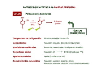 FACTORES QUE AFECTAN A LA CALIDAD SENSORIAL


COLOR         Pardeamiento Enzimático
        OH                 O
                OH   Cu        O
                                           Polímeros
                                            pardos
                     PPO
         R           O2    R
                                                                   TÉCNICAS
                                                                 CONSERVACIÓN

Temperatura de refrigeración   Minimizar velocidad de reacción

Antioxidantes                  Reducción productos de oxidación (quinonas)

Atmósferas modificadas         Reducción concentración de oxígeno en atmósfera

Correctores acidez             Reducción pH             Inhibición actividad PPO

Quelantes metales              Quelación cofactor de PPO

Recubrimientos comestibles     Reducción acceso de oxígeno a tejidos
                               Reducción productos oxidación (si contiene antioxidantes)
 