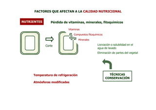 FACTORES QUE AFECTAN A LA CALIDAD NUTRICIONAL


NUTRIENTES      Pérdida de vitaminas, minerales, fitoquímicos

                           Vitaminas
                               Compuestos fitoquímicos

                                    Minerales

             Corte                                Lixiviación o solubilidad en el
                                                  agua de lavado
                                                  Eliminación de partes del vegetal




     Temperatura de refrigeración                          TÉCNICAS
                                                         CONSERVACIÓN
     Atmósferas modificadas
 