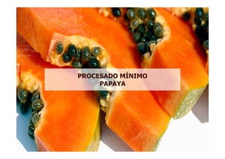 PROCESADO MÍNIMO
     PAPAYA
 