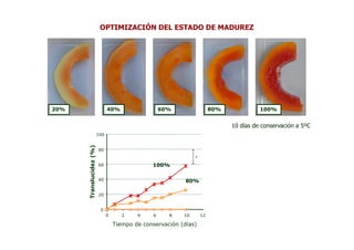 OPTIMIZACIÓN DEL ESTADO DE MADUREZ




20%                            40%                   60%                 80%             100%


                                                                               10 días de conservación a 5ºC
                         100
      Translucidez (%)




                         80
                                                                s

                         60                     100%

                         40                                 80%

                         20


                          0
                               0      2    4     6     8   10       12

                                   Tiempo de conservación (días)
 