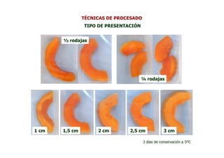 TÉCNICAS DE PROCESADO
                TIPO DE PRESENTACIÓN


       ½ rodajas




                                       ¼ rodajas




1 cm   1,5 cm        2 cm       2,5 cm              3 cm

                                        3 días de conservación a 5ºC
 