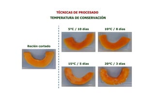 TÉCNICAS DE PROCESADO
             TEMPERATURA DE CONSERVACIÓN


                      5ºC / 10 días      10ºC / 8 días




Recién cortado




                      15ºC / 5 días      20ºC / 3 días
 