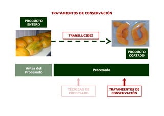 TRATAMIENTOS DE CONSERVACIÓN

PRODUCTO
 ENTERO


                   TRANSLUCIDEZ




                                                  PRODUCTO
                                                   CORTADO



Antes del                        Procesado
Procesado




                   TÉCNICAS DE           TRATAMIENTOS DE
                   PROCESADO              CONSERVACIÓN
 
