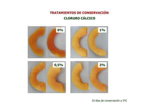 TRATAMIENTOS DE CONSERVACIÓN
         CLORURO CÁLCICO


   0%                       1%




  0,5%                      2%




                      10 días de conservación a 5ºC
 