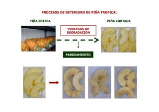 PROCESOS DE DETERIORO DE PIÑA TROPICAL

PIÑA ENTERA                           PIÑA CORTADA

                  PROCESOS DE
                  DEGRADACIÓN




                  PARDEAMIENTO
 